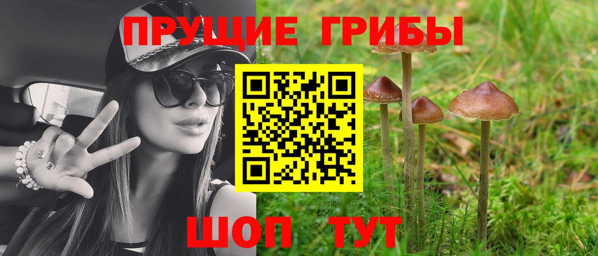 Галлюциногенные грибы MAGIC MUSHROOMS Озёрск